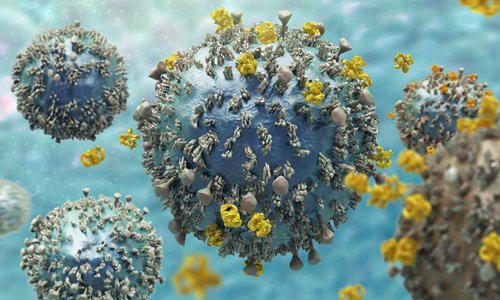 Close-up image of a virus
