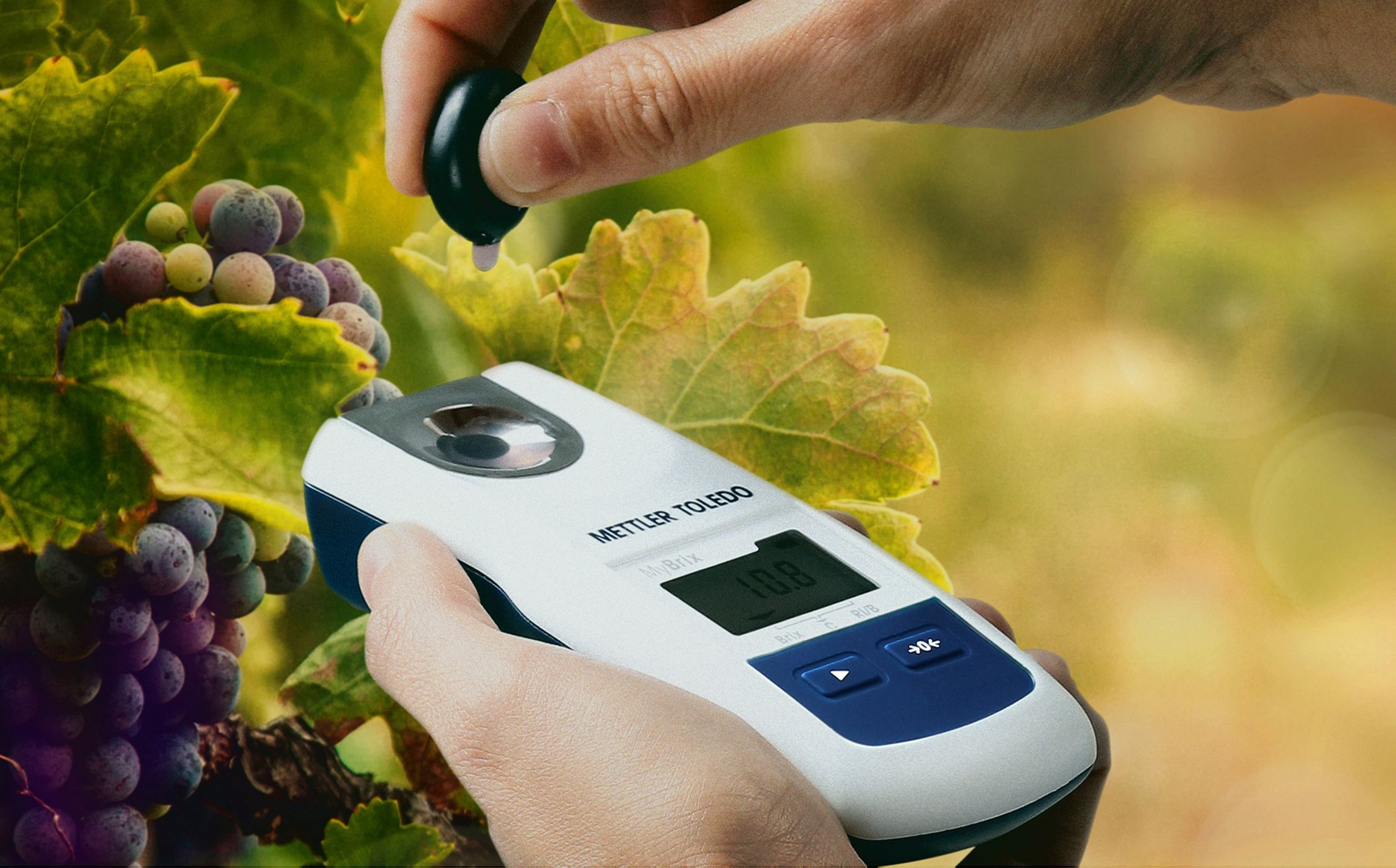 Refraktometer für Weintrauben