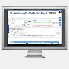 Monitor a Single Vessel Batch Protein Crystallization Process