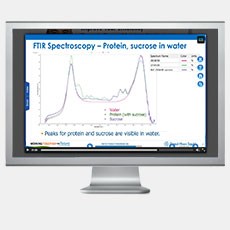 Real-Time Monitoring of Downstream Biologics Operations