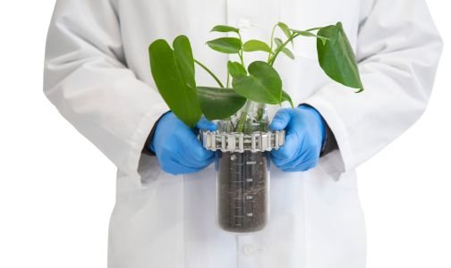 green chemistry and sustainable engineering guide