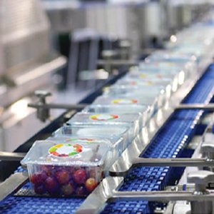 Руководство | Шесть шагов для защиты от инородных включений в пищевой промышленности