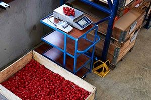 Reliable, Cost-Effective Bulk Parts Counting