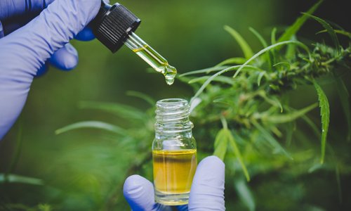 CBD and Cannabis Laboratory Analysis and Testing