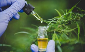 Análisis y pruebas de laboratorio de CBD y cannabis