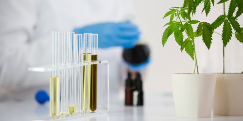 Quality Testing of Cannabis Oils by Titration