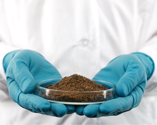 Medición del pH del suelo para el crecimiento del cannabis