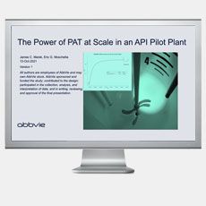 The Power of PAT at Scale in an API Pilot Plant
