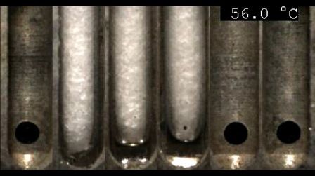MP90を用いた固形油脂の融点測定